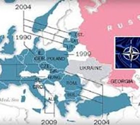 Nato 7