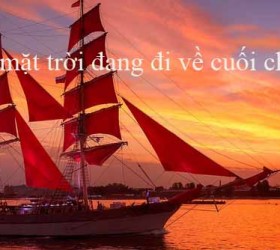 Bạch dạ 7
